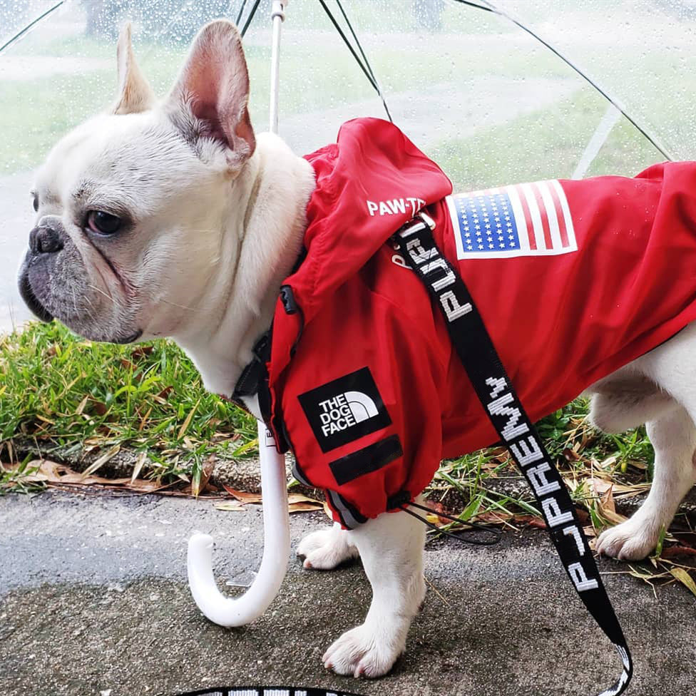 Waterproof Windproof Dog Raincoat with Hood