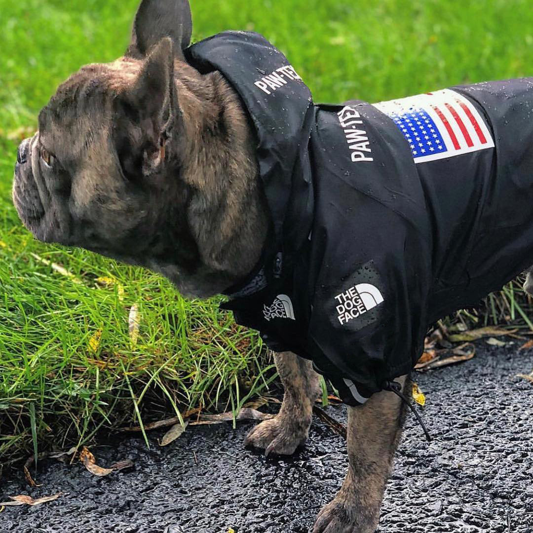 Waterproof Windproof Dog Raincoat with Hood