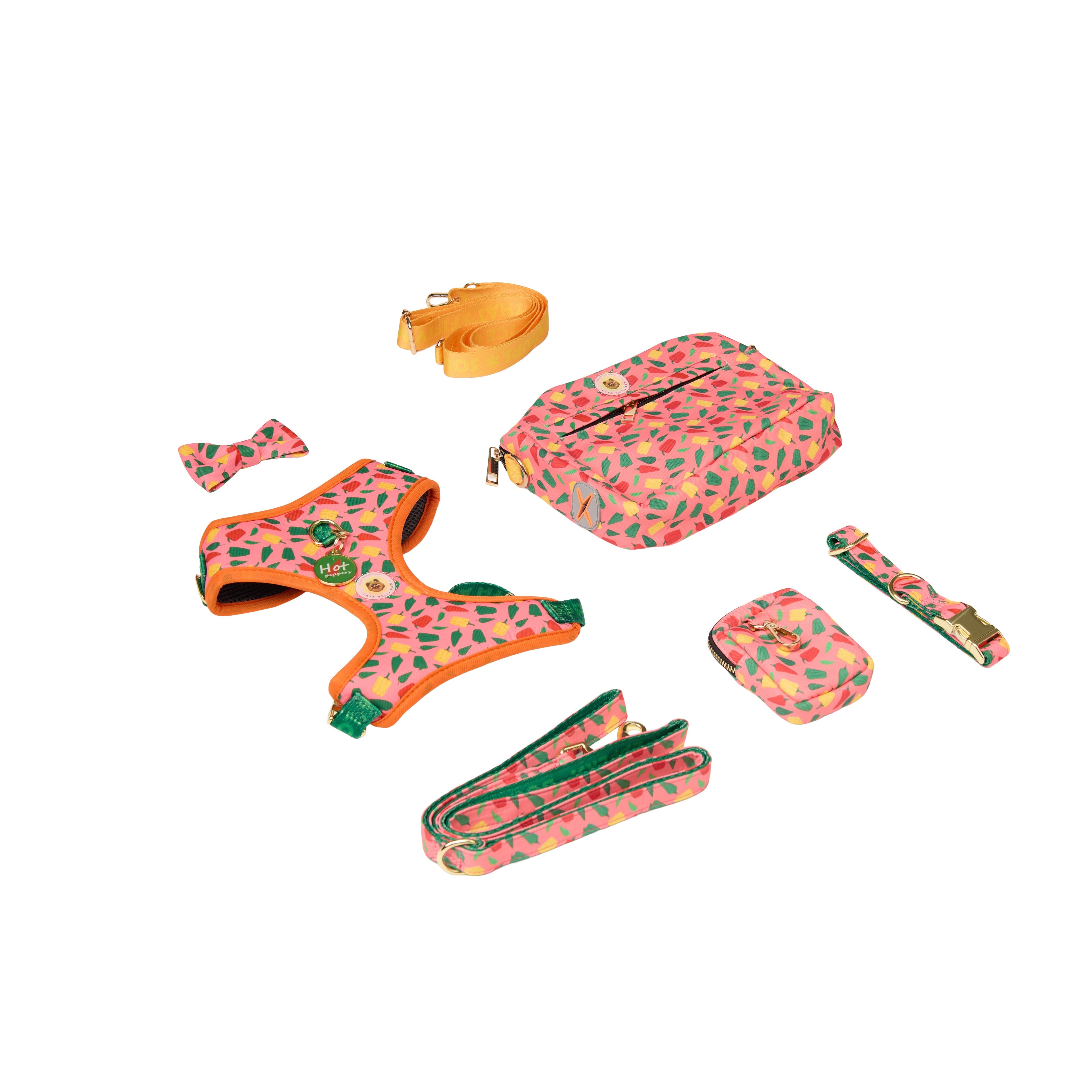 Designer Six Piece Printed Harness Set