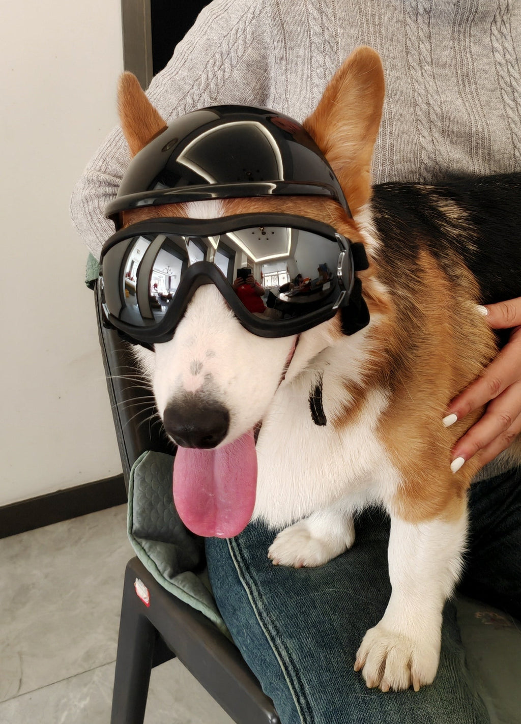 Black Safety Pet Helmet