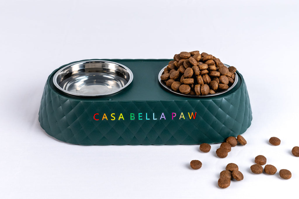 Double Stainless Steel Pet Feeder Bowl