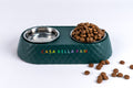 Double Stainless Steel Pet Feeder Bowl