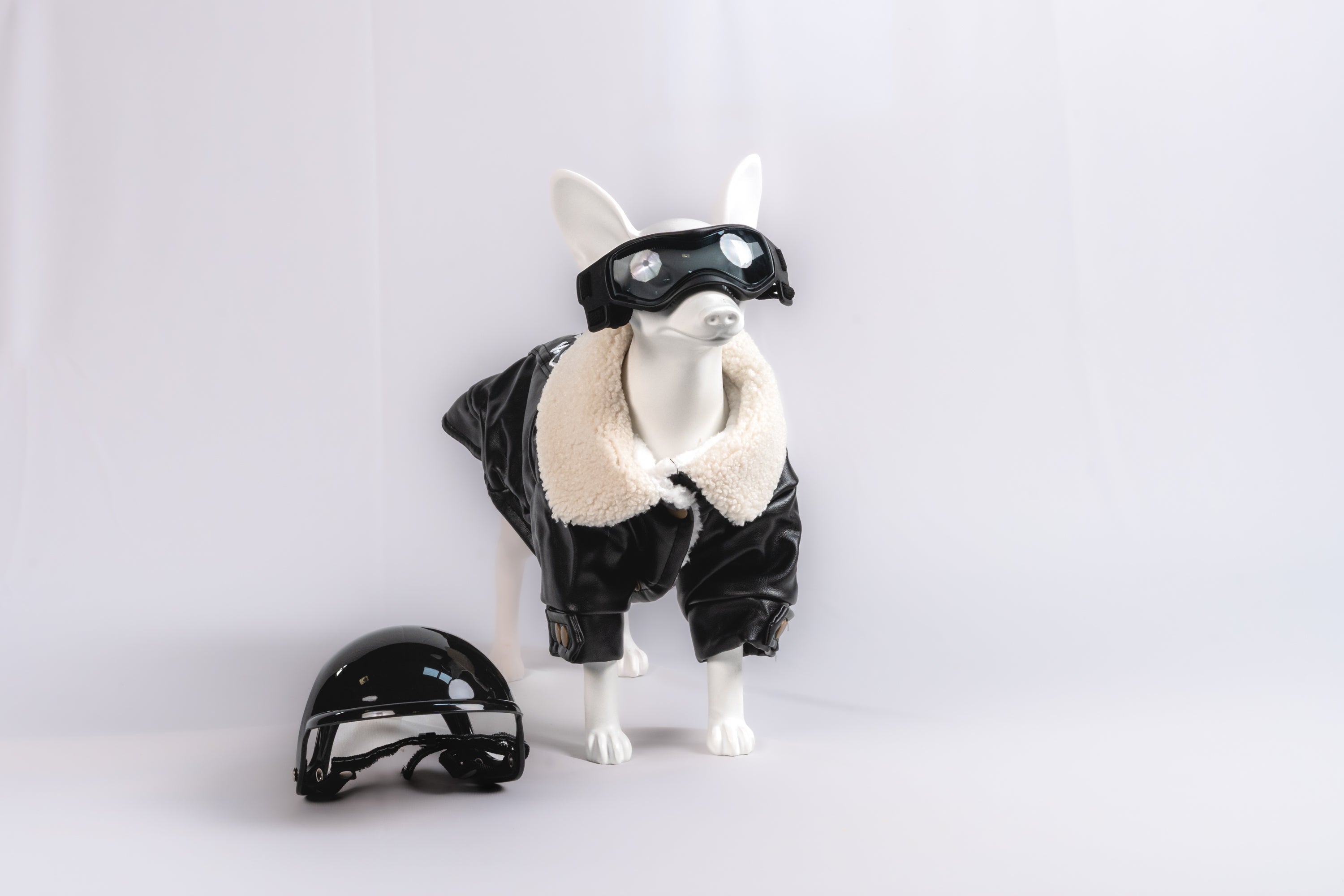 Black Protective Pet Goggles