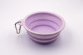 Foldable Travel Friendly Pet Bowl