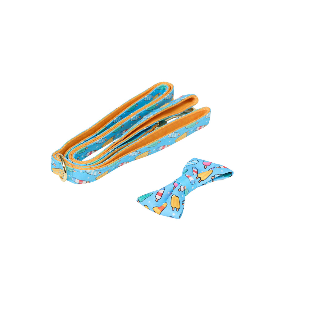 Ice Cream Print Dog Walk Essentials Set – Harness, Leash, Bag & Accessories