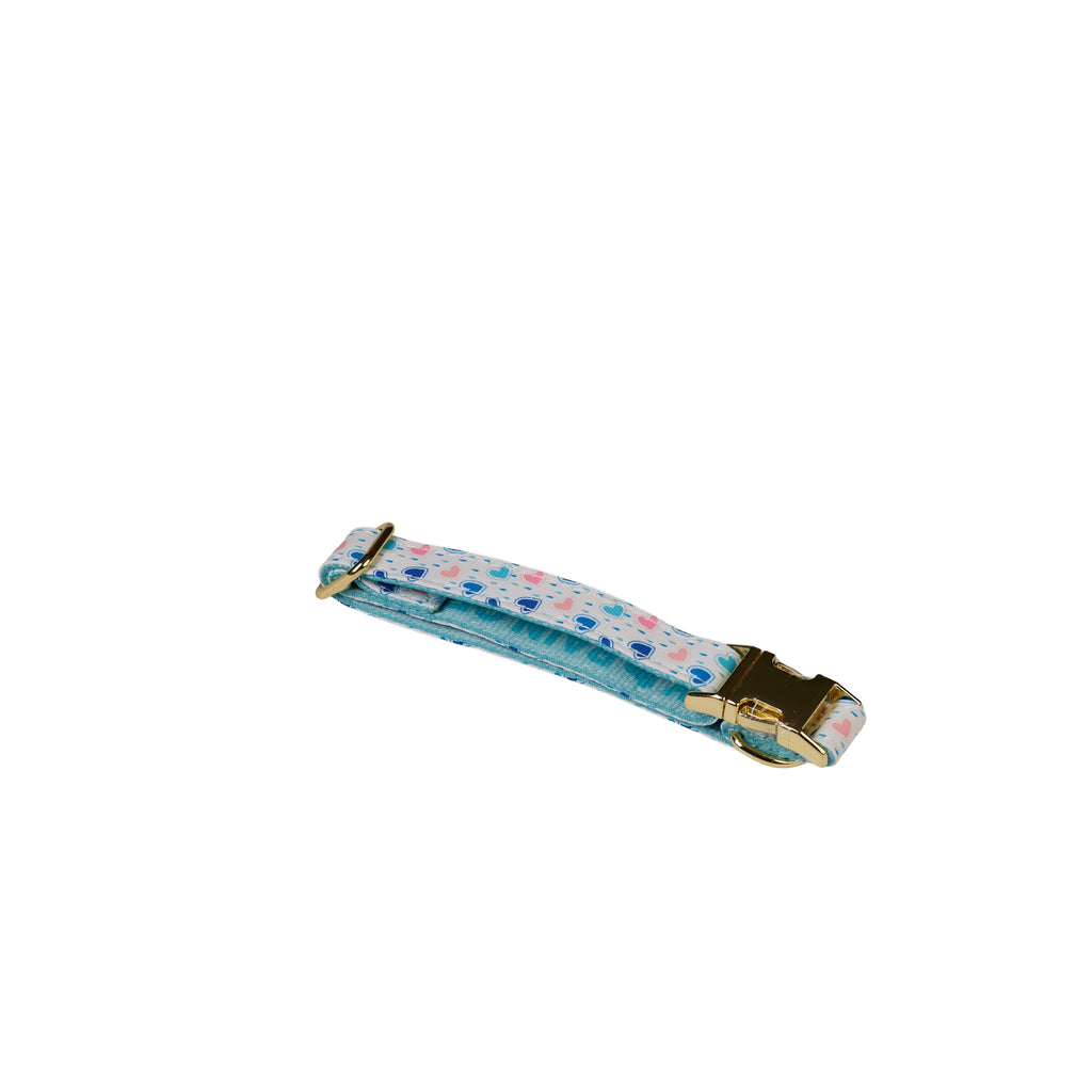 Rainbow Heart Print Dog Walk Essentials Set