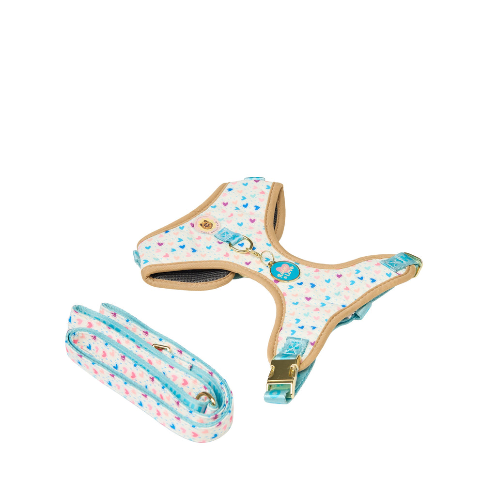 Rainbow Heart Print Dog Walk Essentials Set