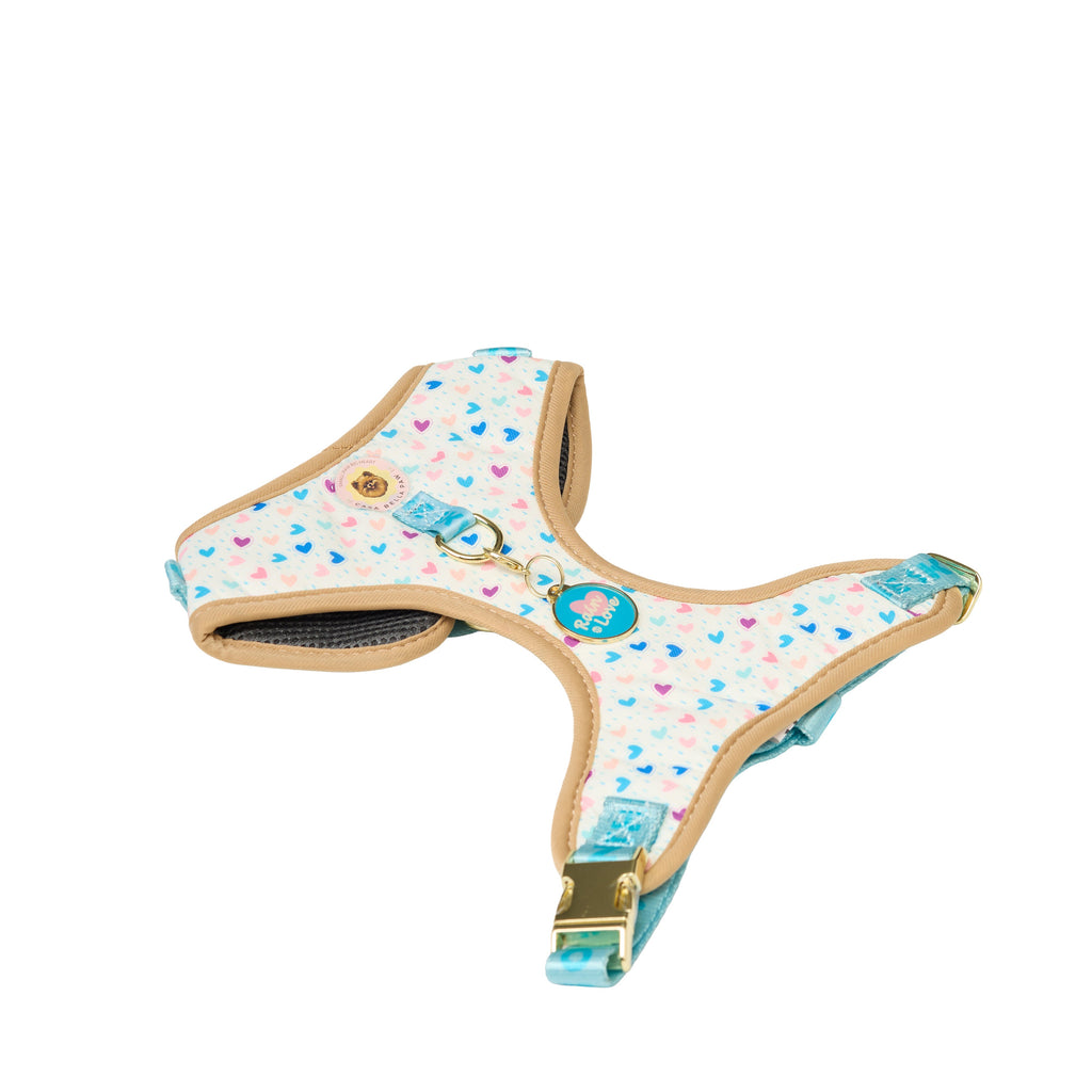 Rainbow Heart Print Dog Walk Essentials Set