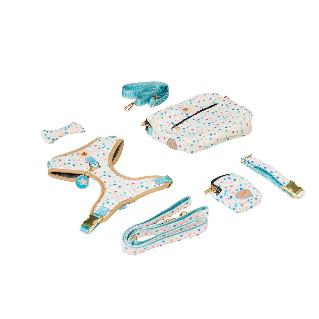 Rainbow Heart Print Dog Walk Essentials Set