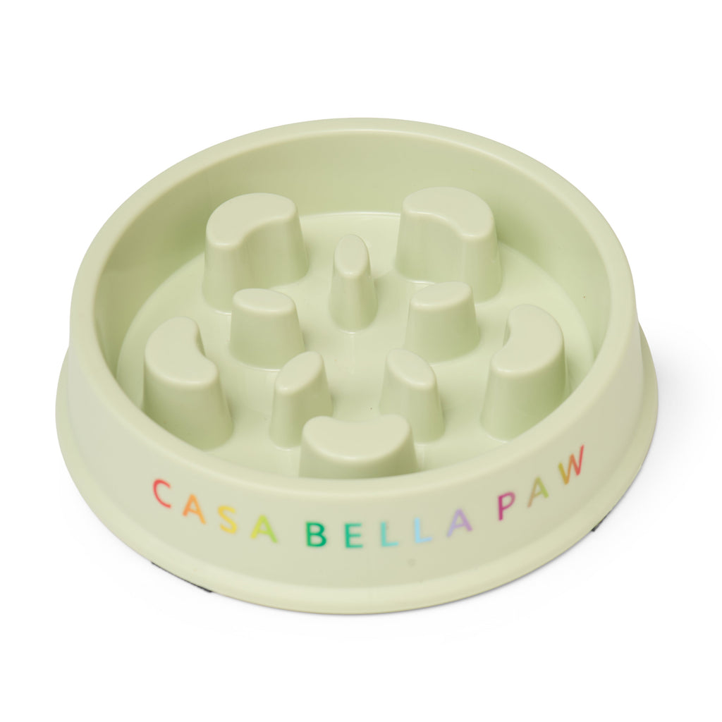 Slow Feeder Anti-Gulp Pet Bowl