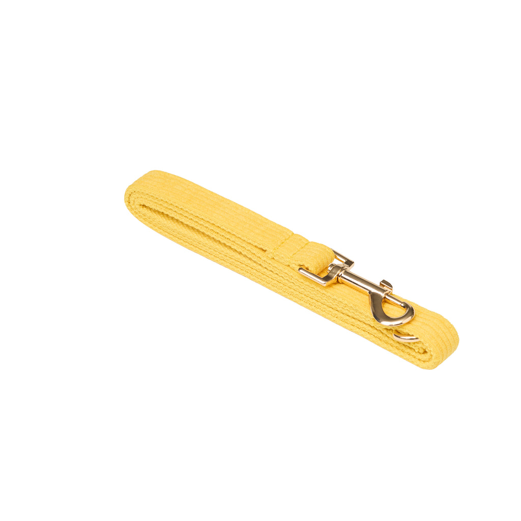 Luxury Corduroy Leash, Collar & Bow Set