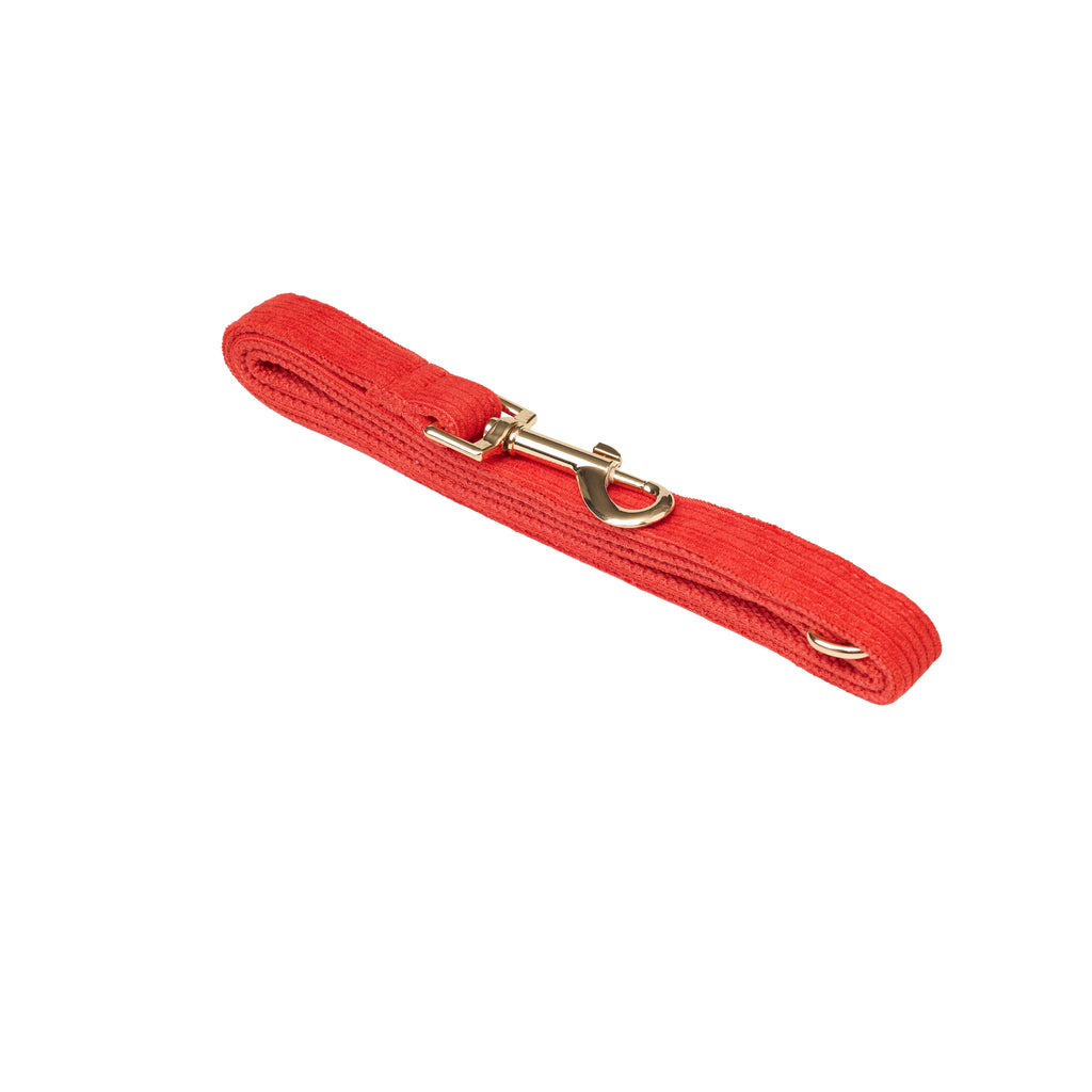 Luxury Corduroy Leash, Collar & Bow Set
