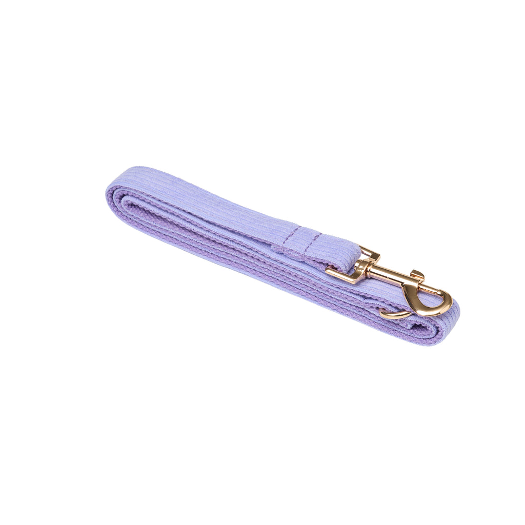 Luxury Corduroy Leash, Collar & Bow Set