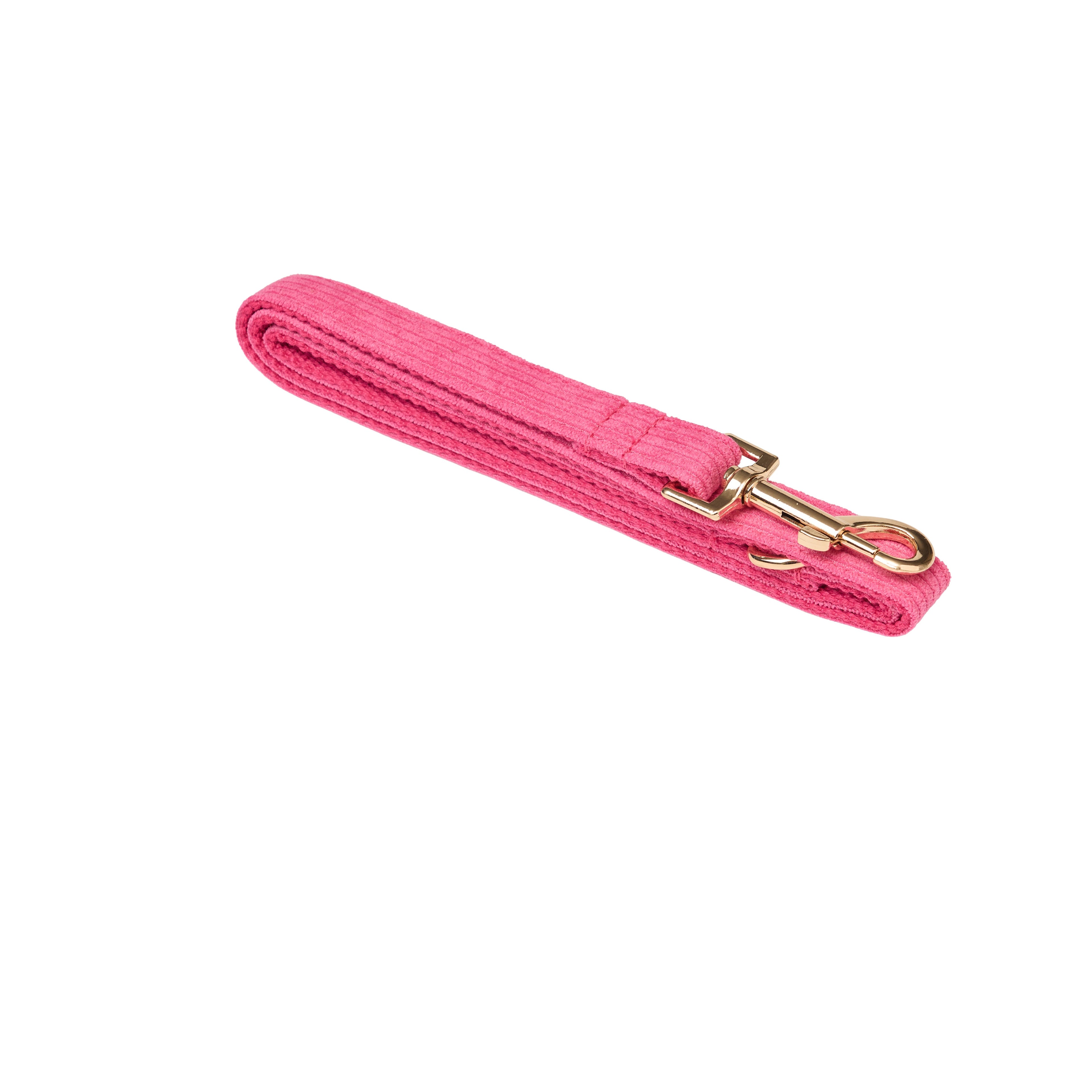 Corduroy Dog Leash, Collar & Bow Set