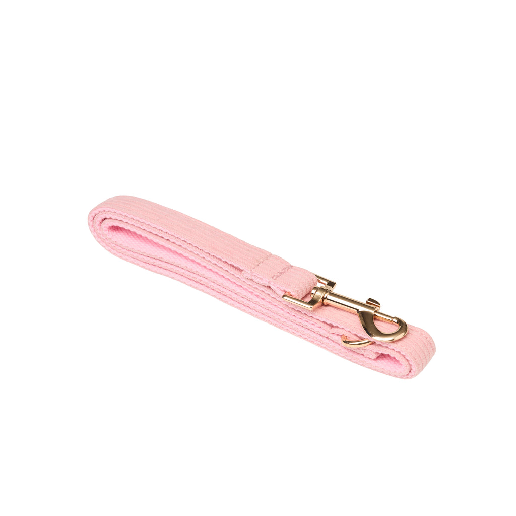 Luxury Corduroy Leash, Collar & Bow Set