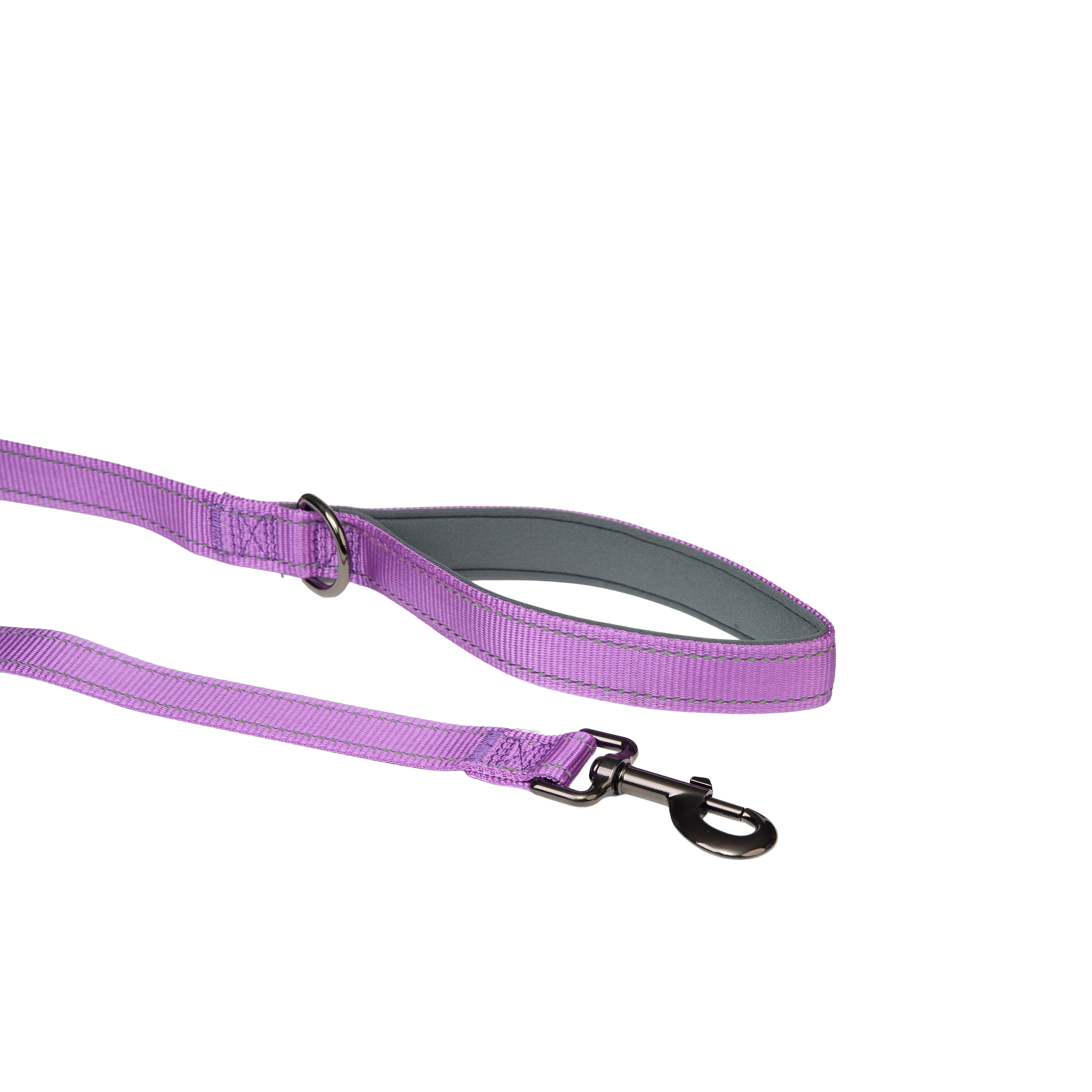 Padded Reflective Leash