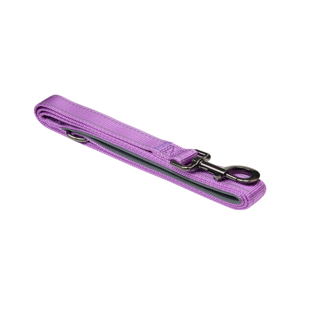 Padded Reflective Dog Leash