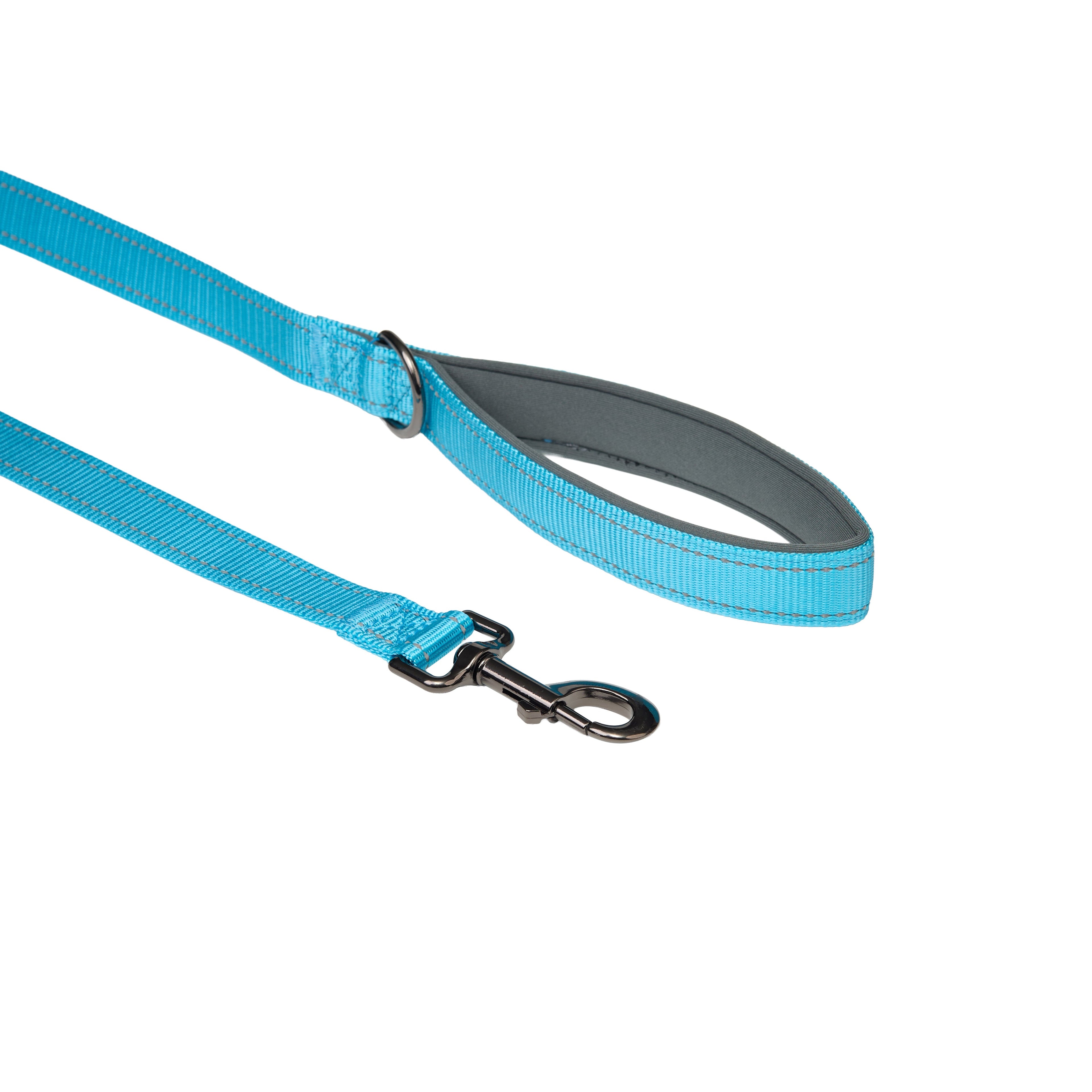 Padded Reflective Dog Leash