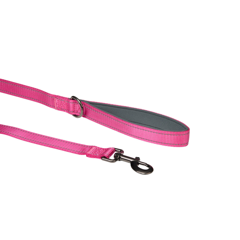 Padded Reflective Dog Leash