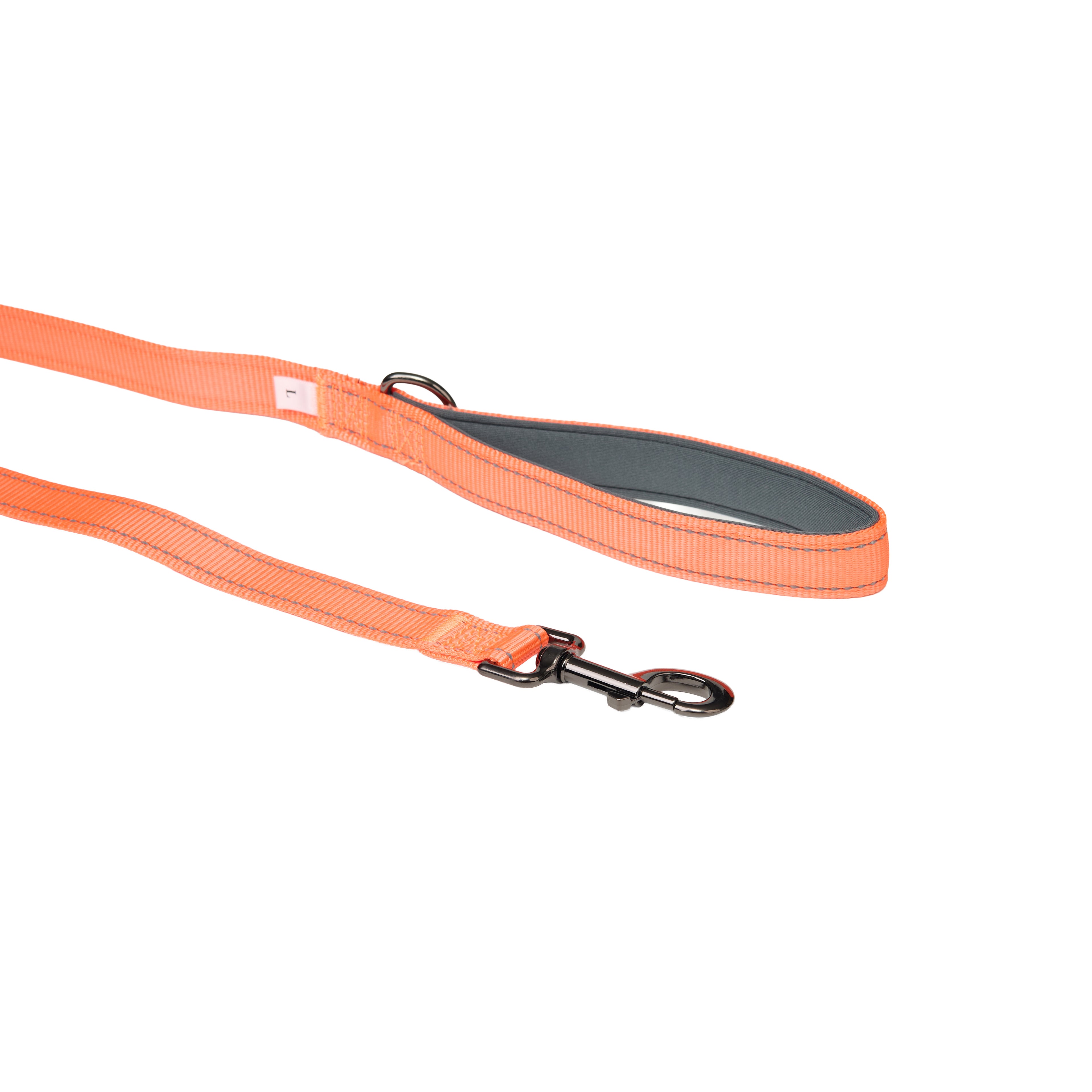 Padded Reflective Leash