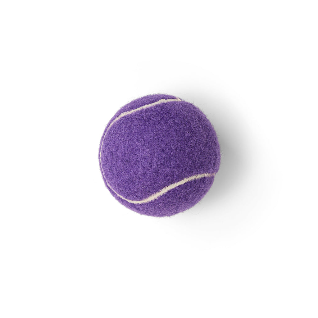 Classic Felt Pet Play Ball