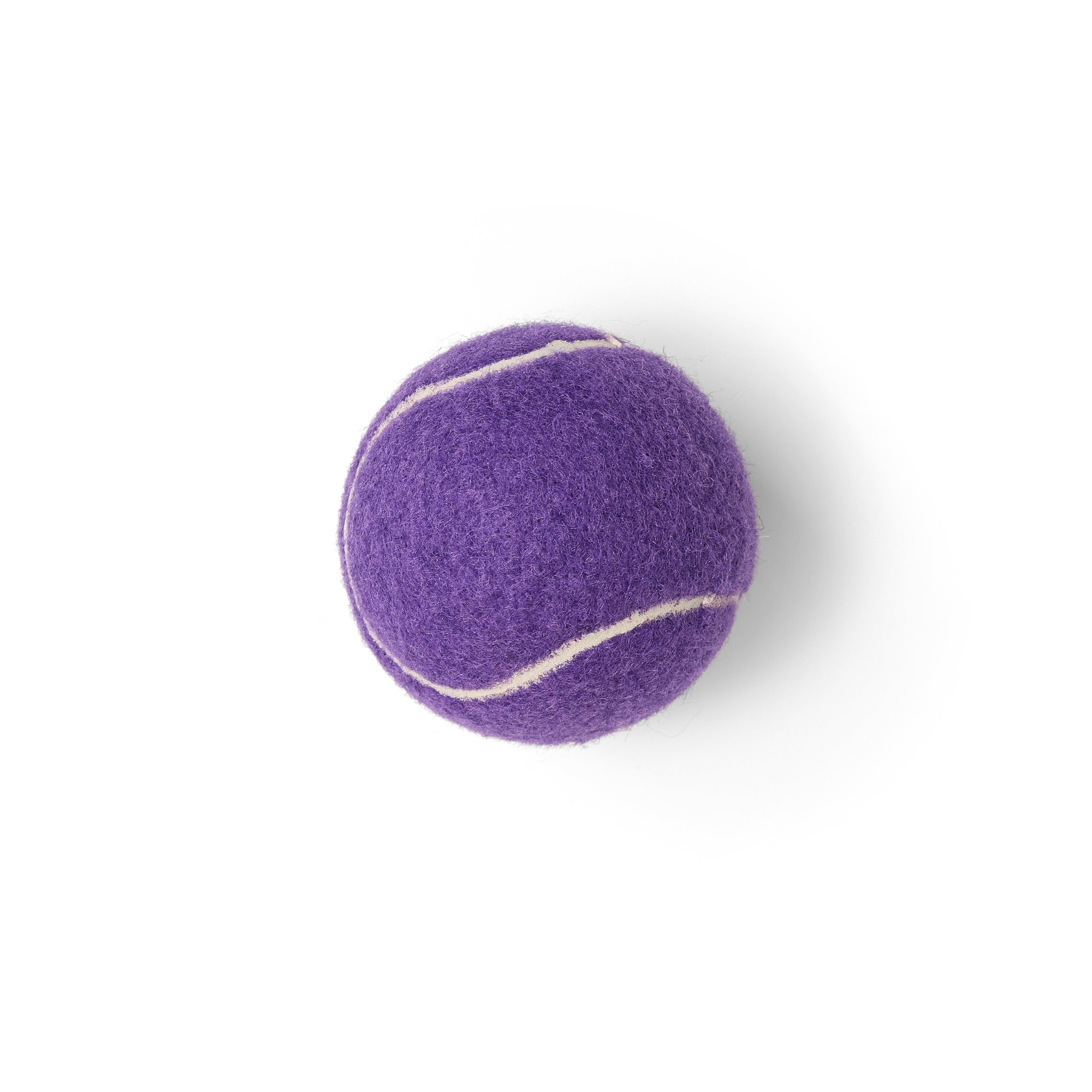 Classic Felt Pet Play Ball