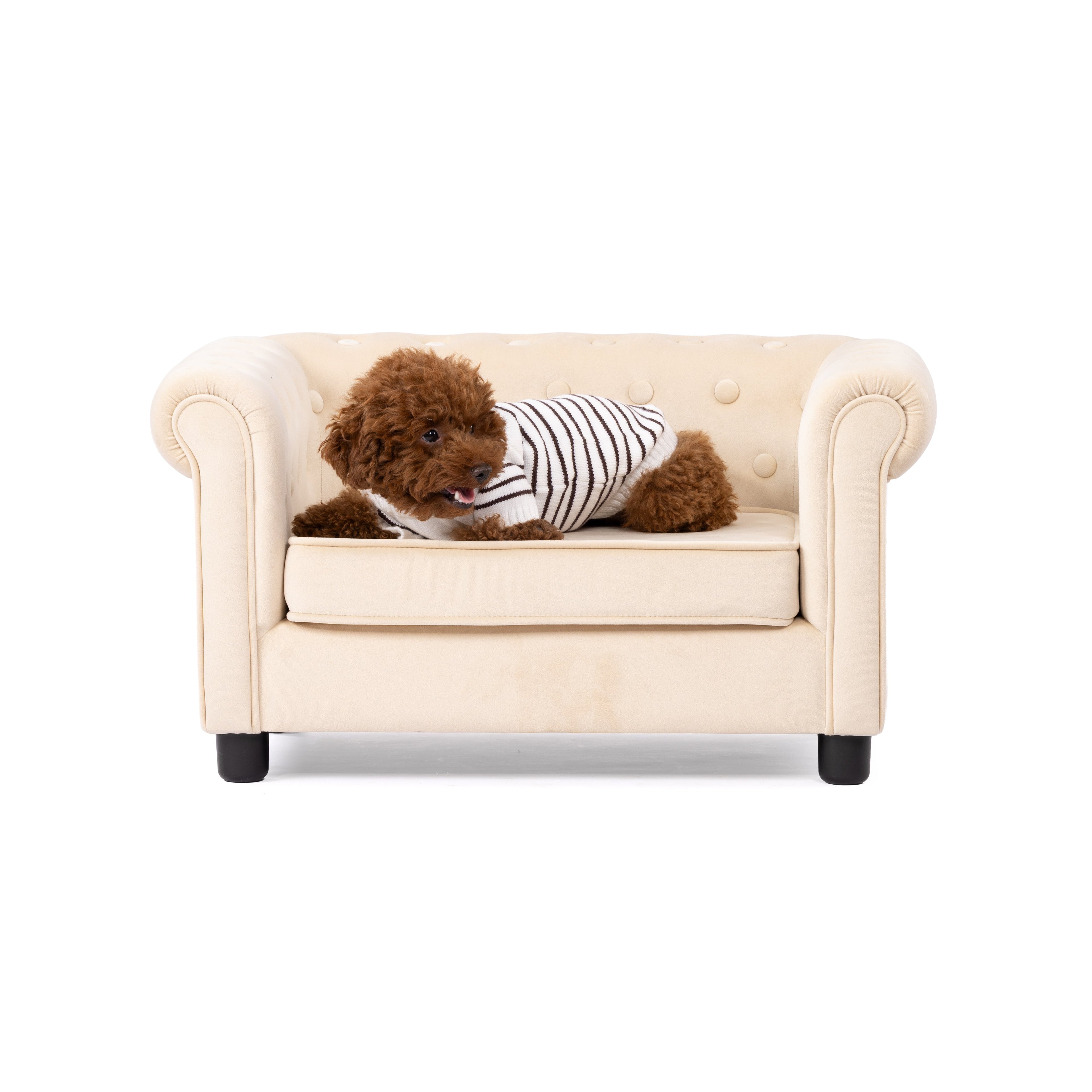 Classic Stripe Button-Back Pet Sweater