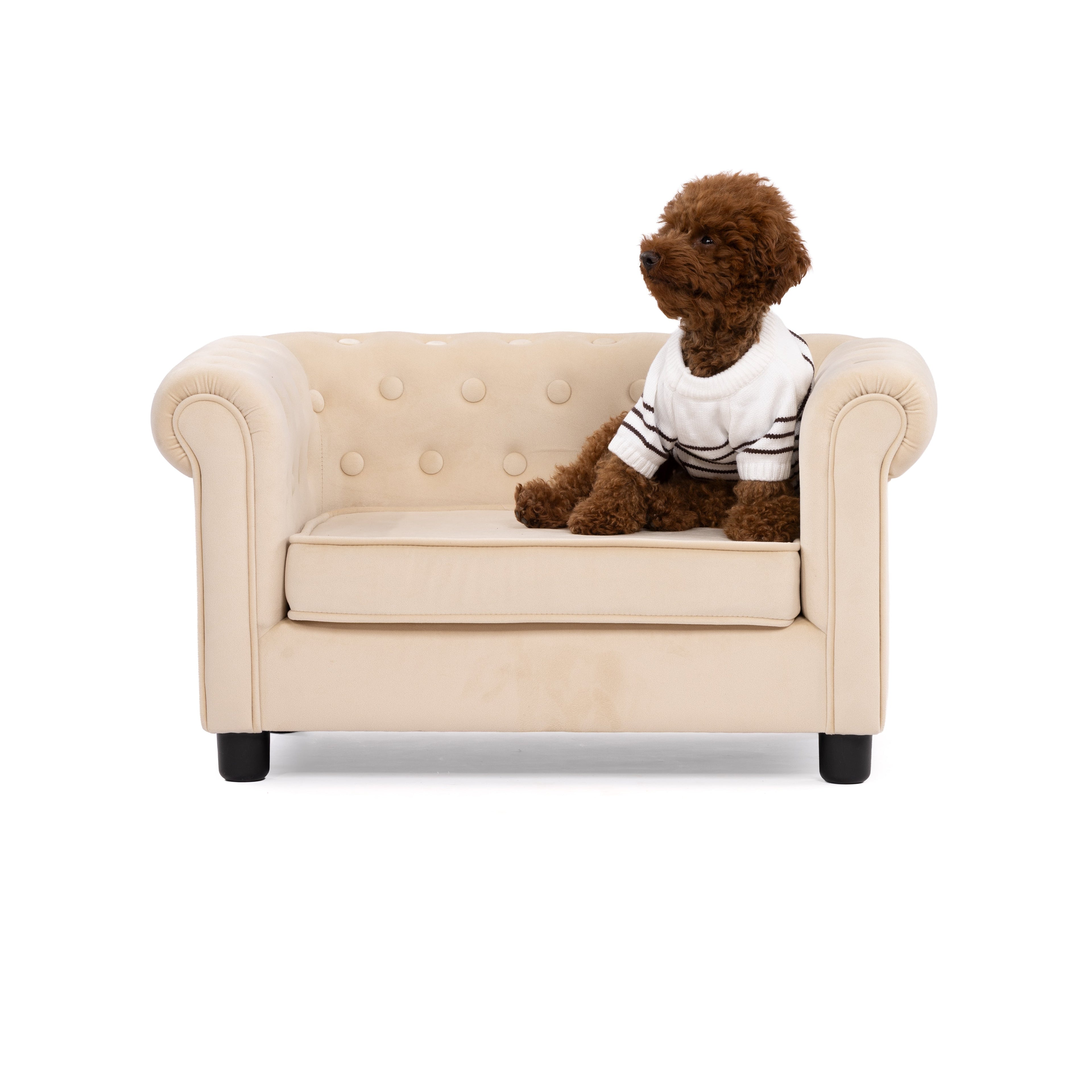 Classic Stripe Button-Back Pet Sweater