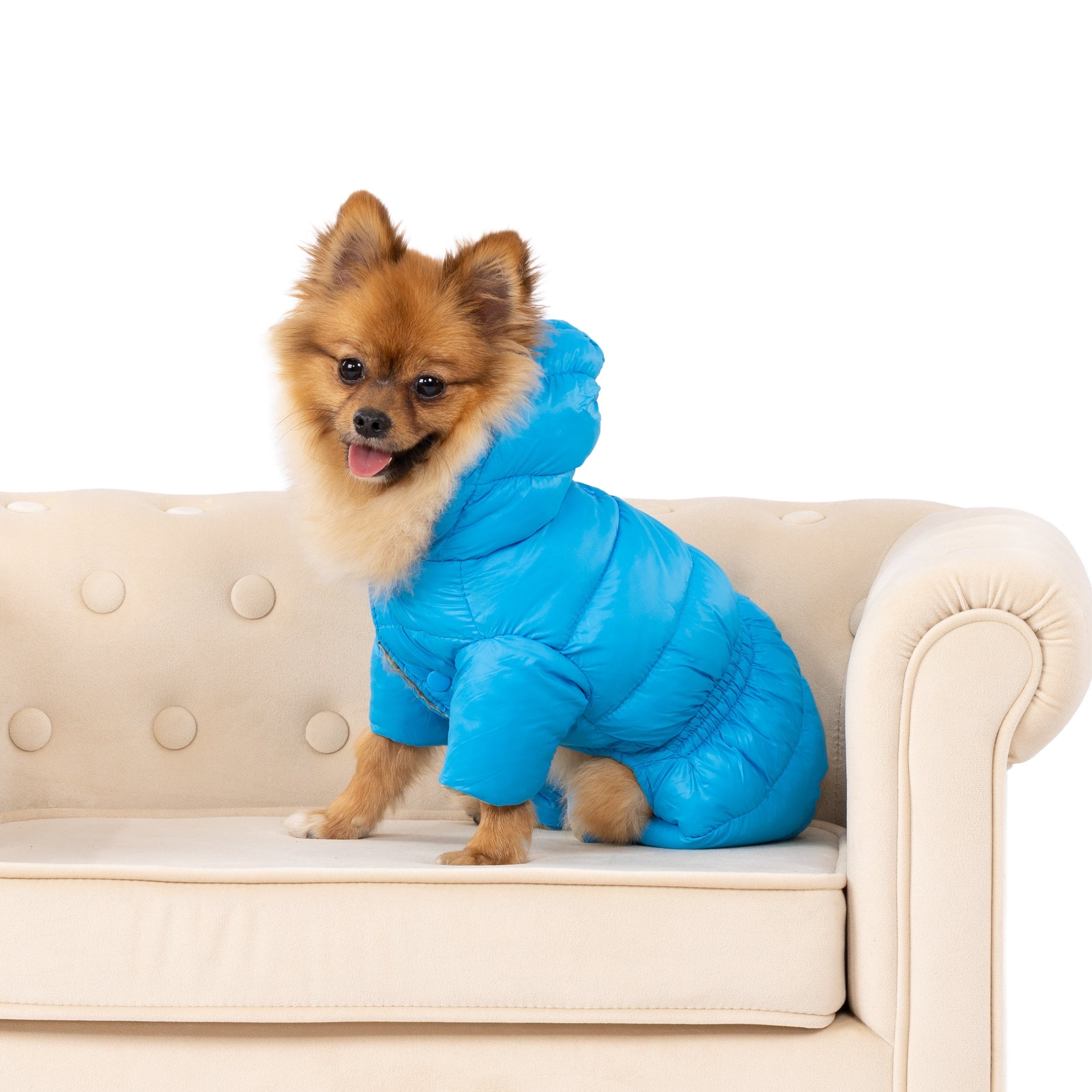 Hooded Pet Puffer Jacket