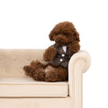 Classic Plaid Gentleman Pet Suit with Contrast Collar