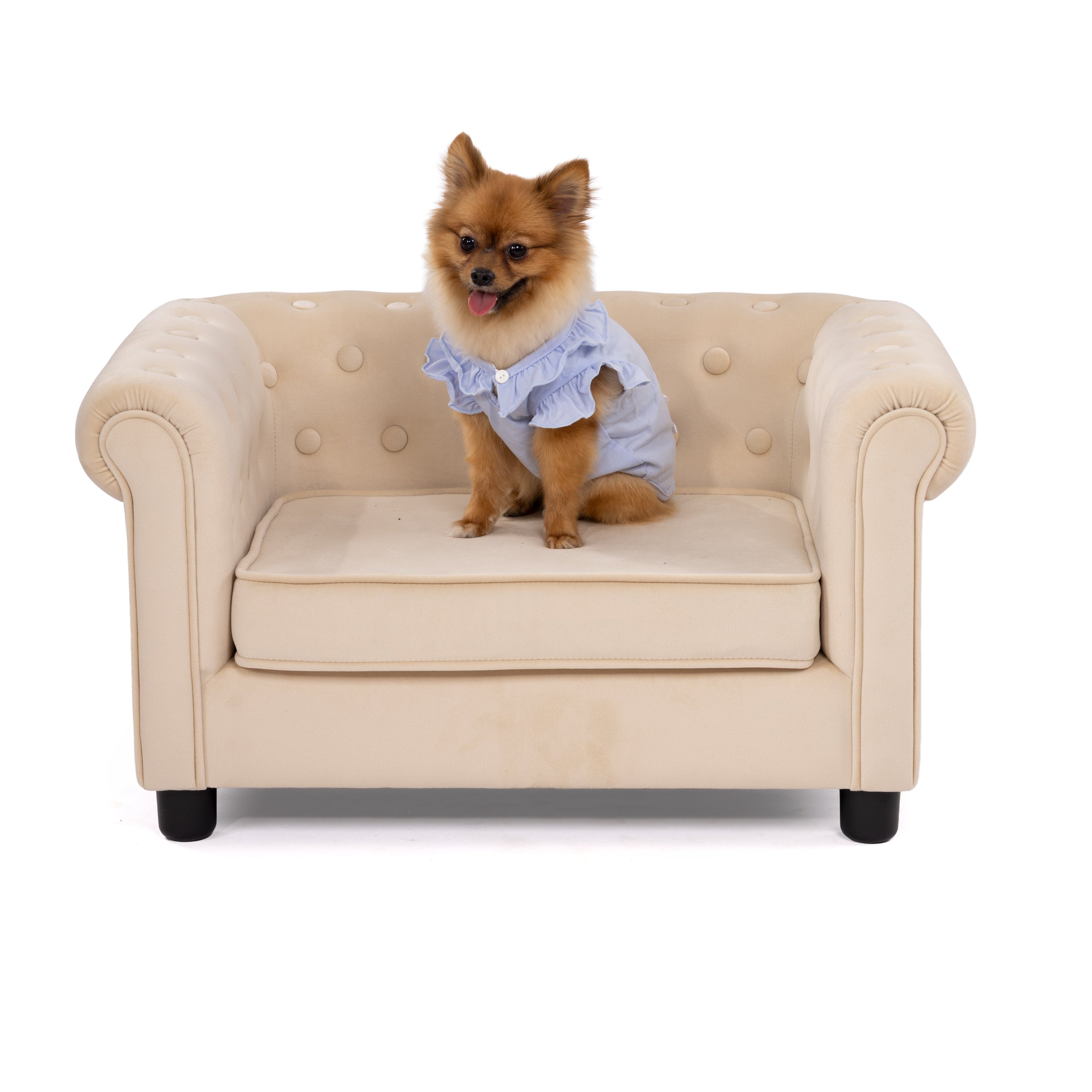 Fairy Tale Frill Pet Dress