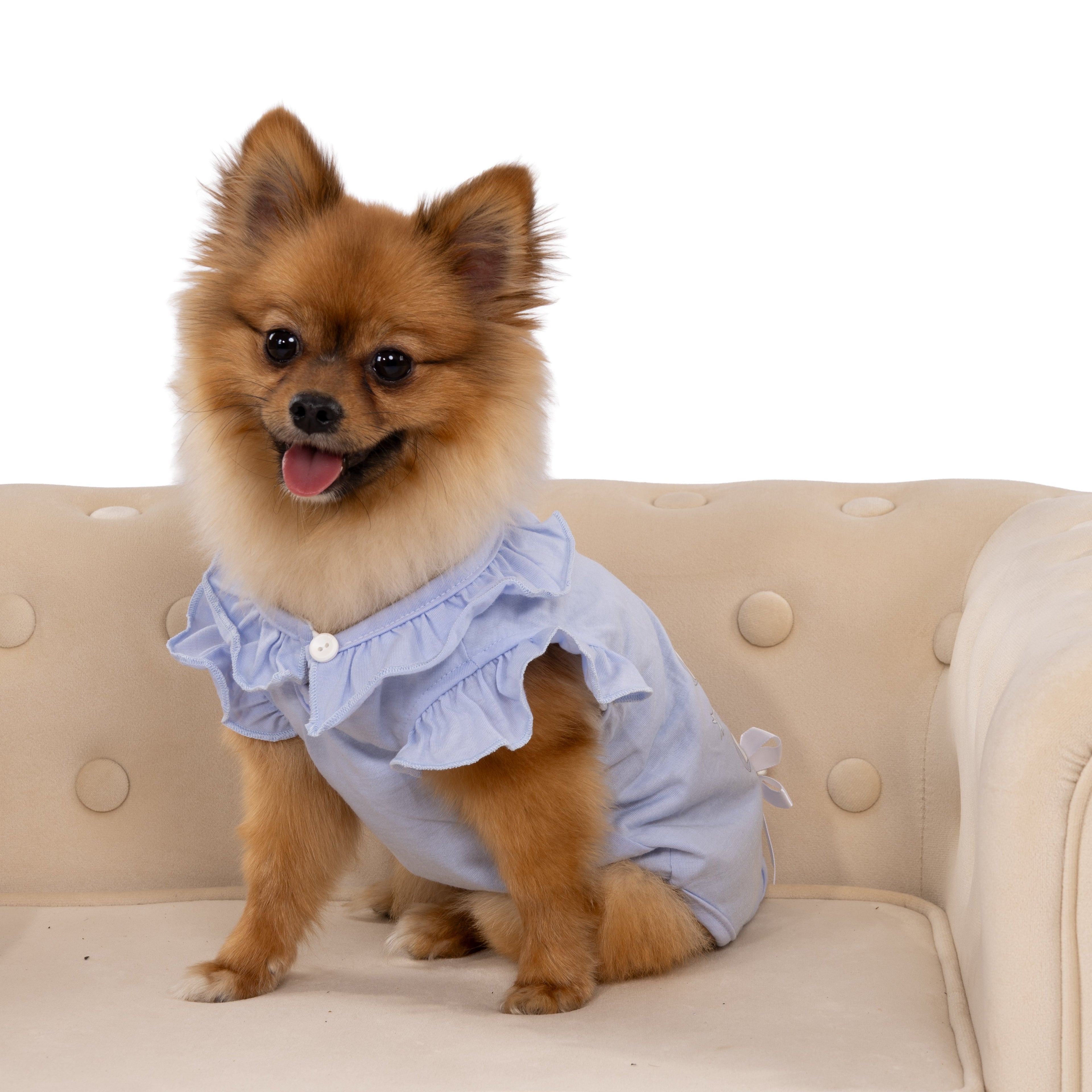Fairy Tale Frill Pet Dress