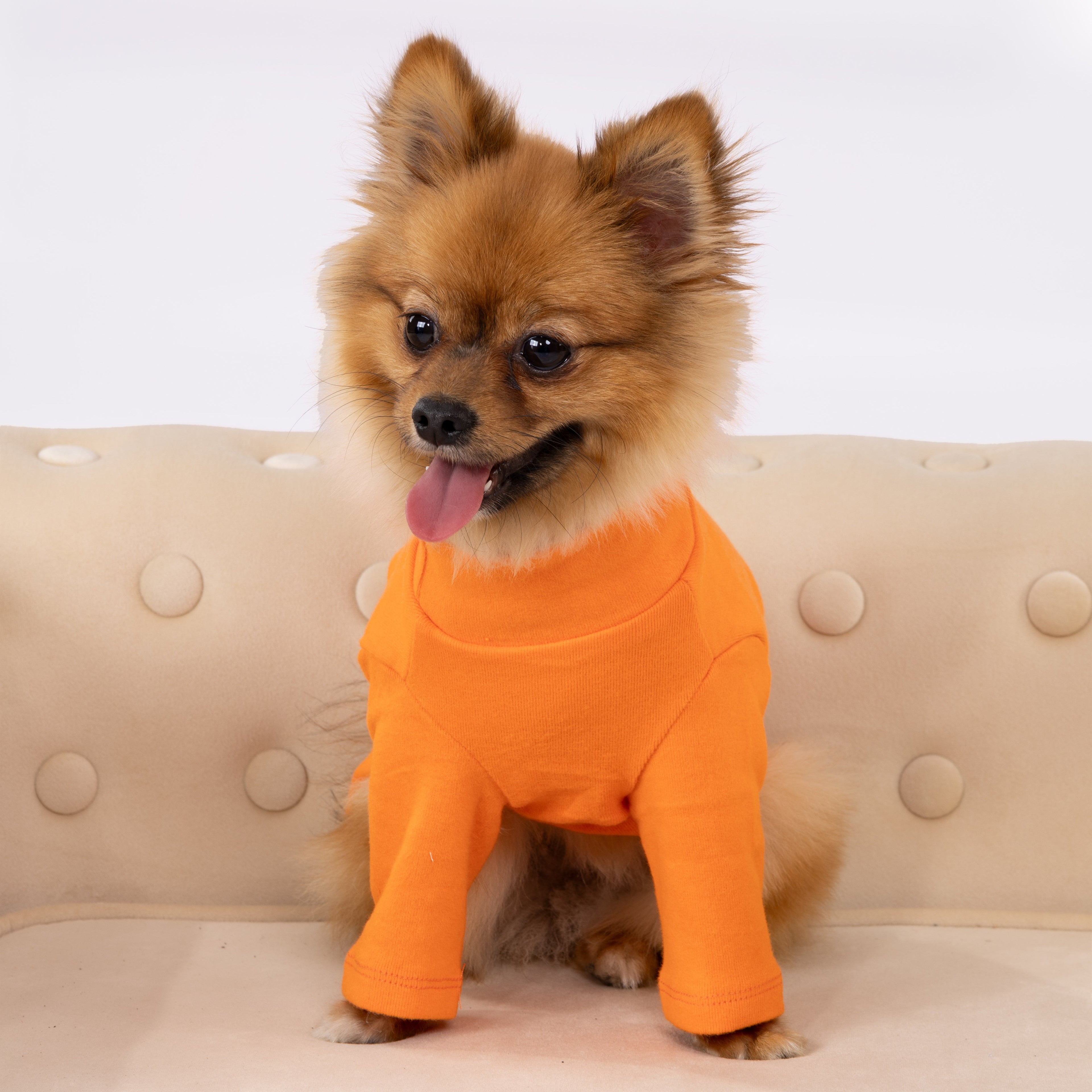 Everyday Comfort Pet's Polo Neck T-shirts