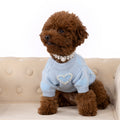 Sky Blue Knitted Sweater with Pearl Embroidery