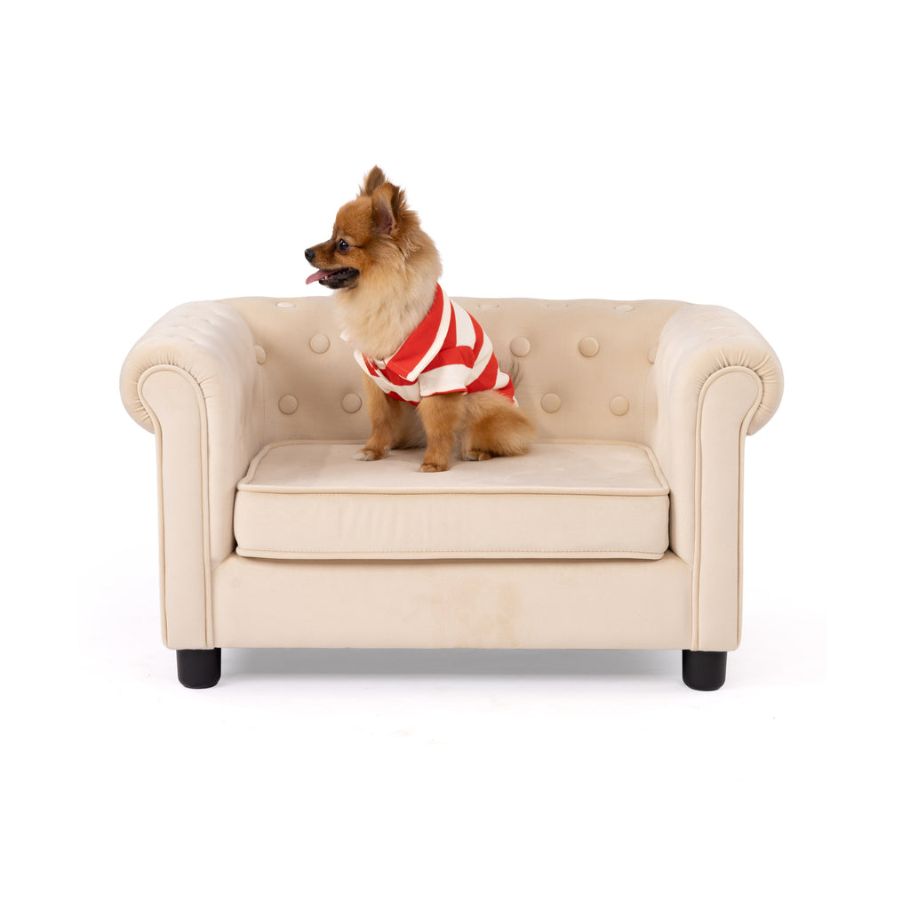 Stripe Pet Polo Shirt