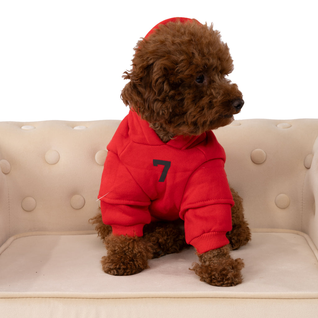 Designer Sweatshirt with Hood