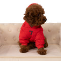 Designer Sweatshirt with Hood
