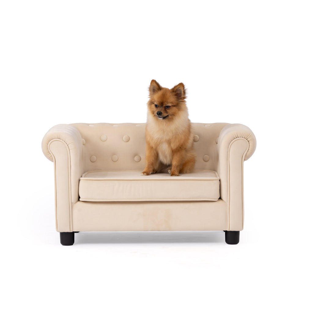 Luxe Button-Tufted Chesterfield Pet Sofa