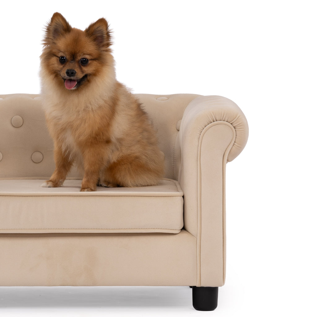 Luxe Button-Tufted Chesterfield Pet Sofa