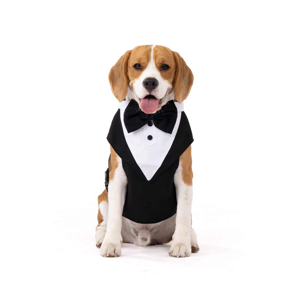 Classic Gentleman Pet Tuxedo Outfit