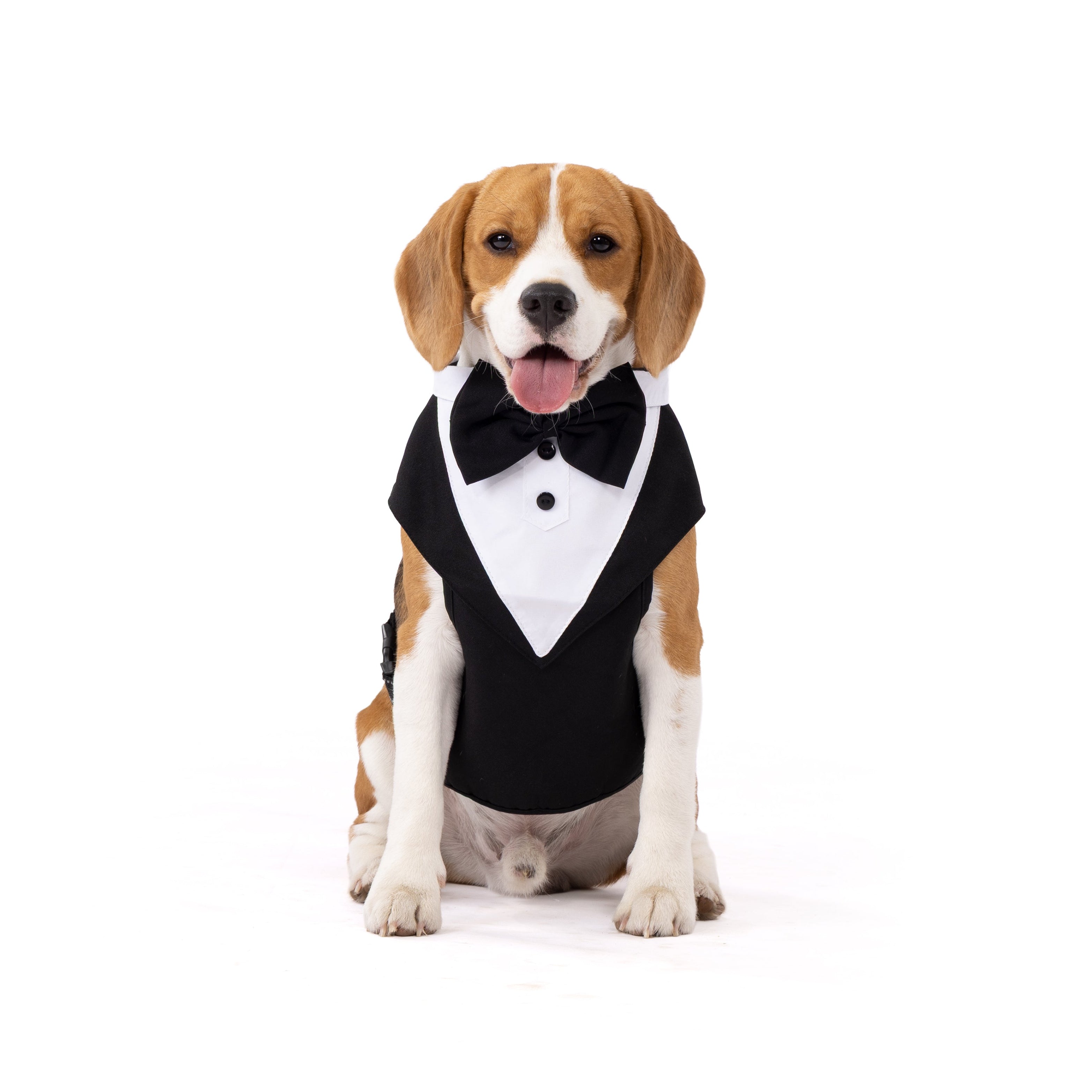 Classic Gentleman Pet Tuxedo Outfit