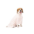Microfiber High Absorption Pet Bath Robe