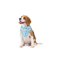 Printed Everyday Pet Bandana
