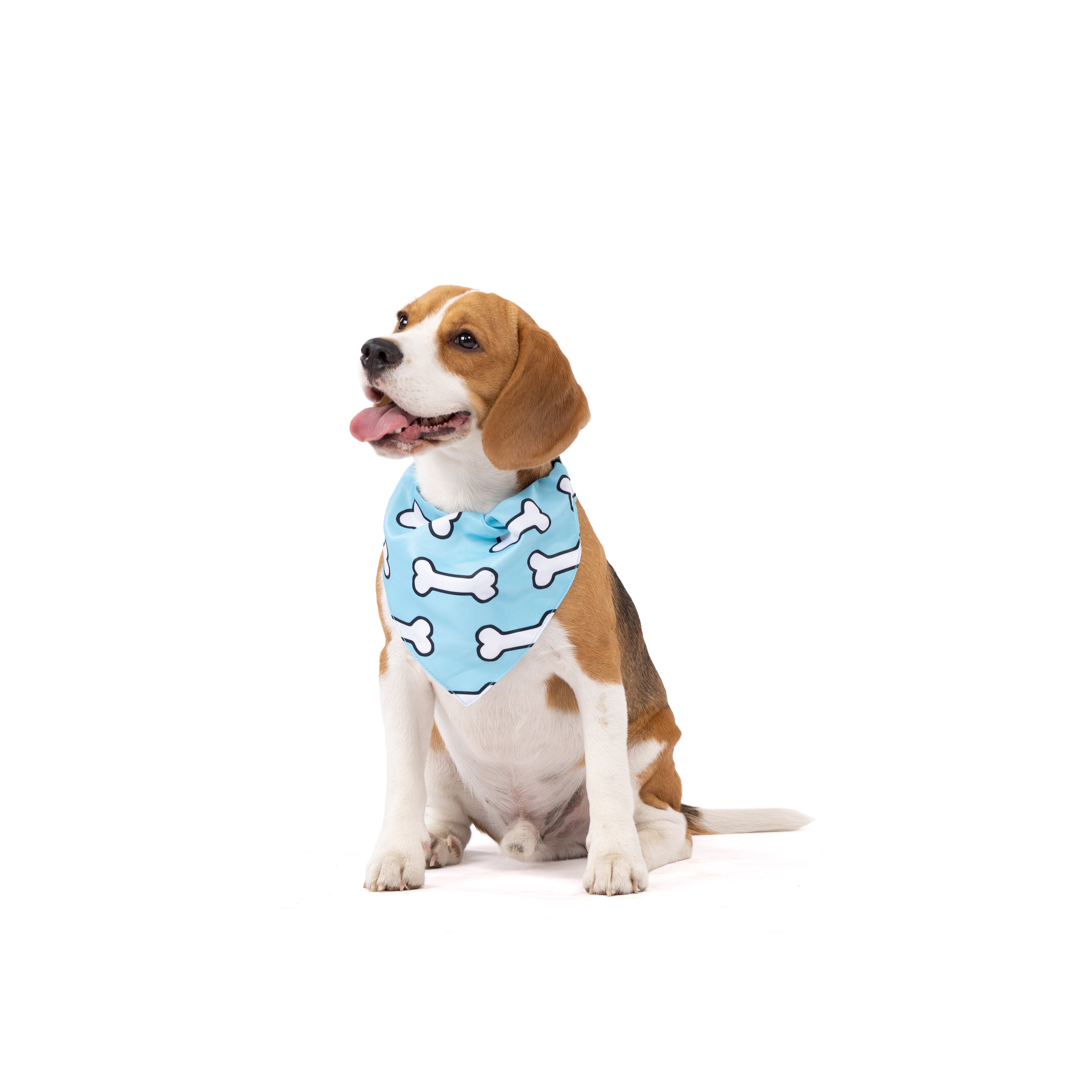 Printed Everyday Pet Bandana
