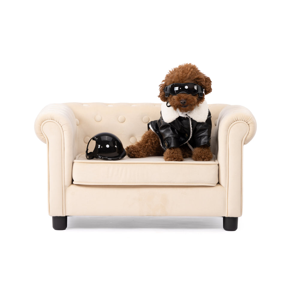Classic Black Biker Leather Pet Jacket