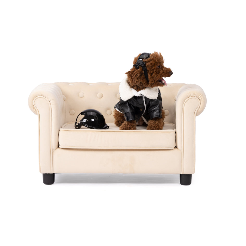Classic Black Biker Leather Pet Jacket
