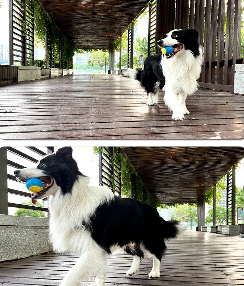Pet-Friendly Silicone Chew Ball - Interactive Treat & Dental Toy