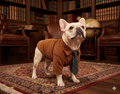 Corduroy Formal Shirt with Tie