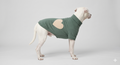 Heart Appliqué Ultra-Soft Polo Neck T-Shirt