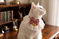 Lacy Frill Collar Bandana With Bow And Bell